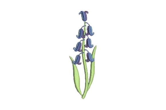 Bluebell: A Spring Floral Embroidery Review for Boutique Sweatshirts