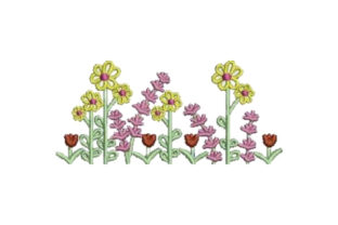 Field of Summer Flowers