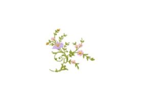Floral: A Thoughtful, Versatile Single Flower Design